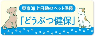 東京海上日動火災保険